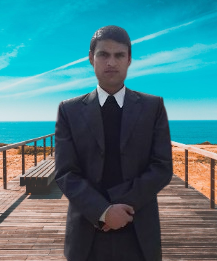 Category 2 - Image 2