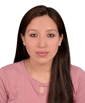 Category 2 - Image 2